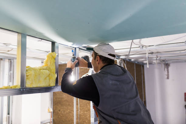 Best Geographic-Specific Insulation Services in Halifax, VA
