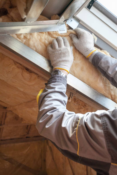 Best Cellulose Insulation in Halifax, VA